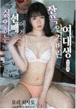 高分剧集回顾封面图